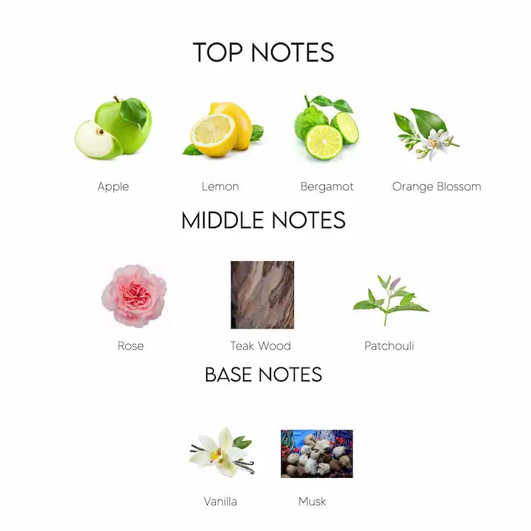 MIDNIGHT FLAME - Inspired by Dunhill Desire