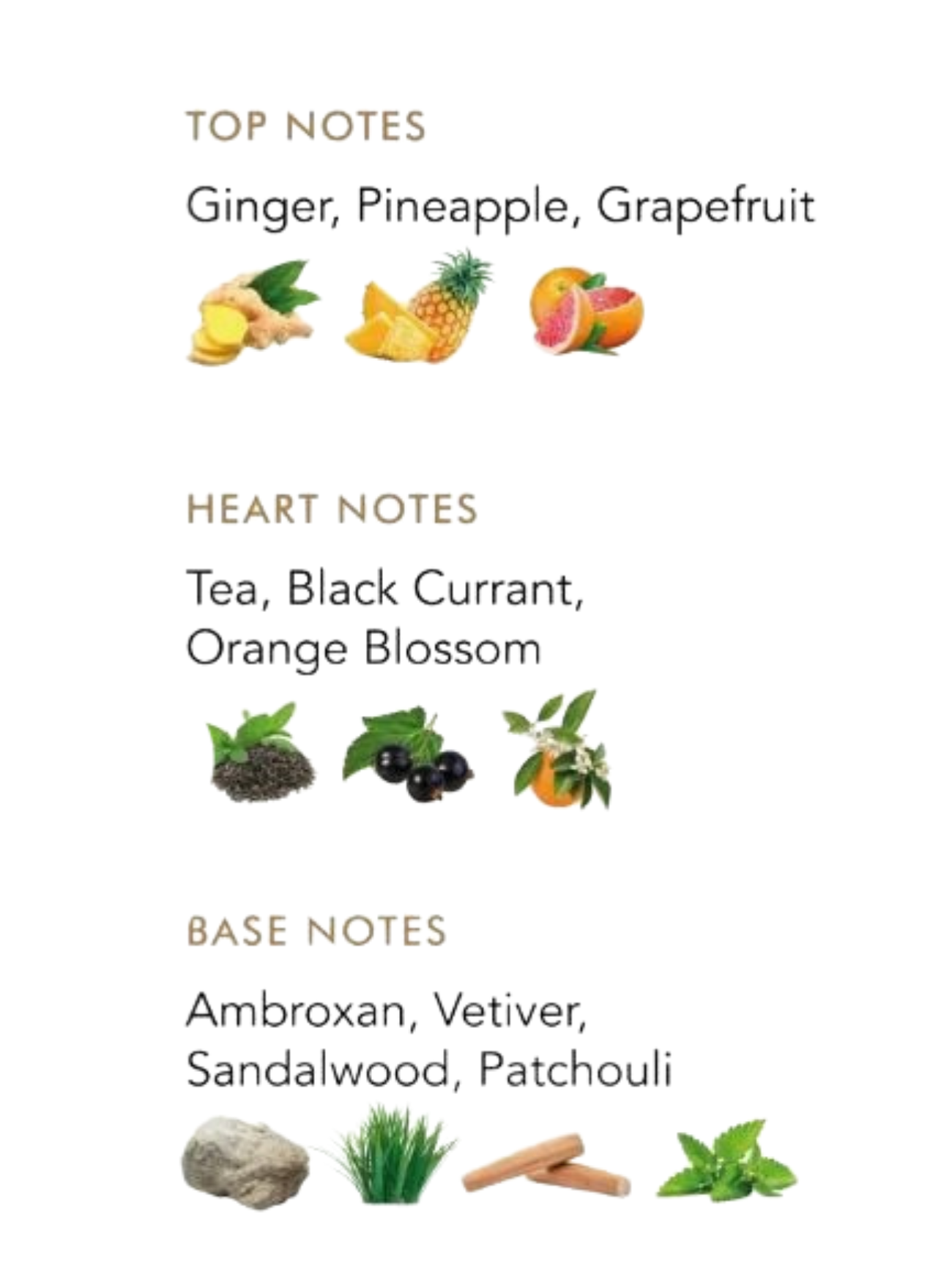 DARK AURA- Inspired by Signature